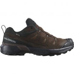 Кроссовки X ULTRA 360 LTR GTX Salomon, цвет Dark Earth/Delicioso
