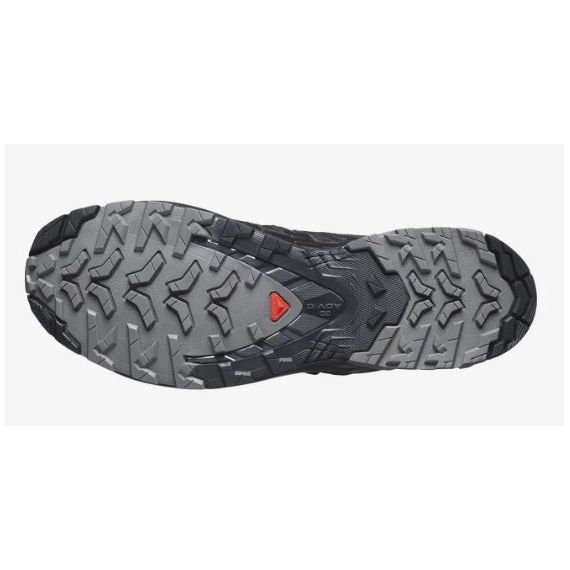 Кроссовки XA PRO 3D V9 GTX Salomon, цвет Phantom