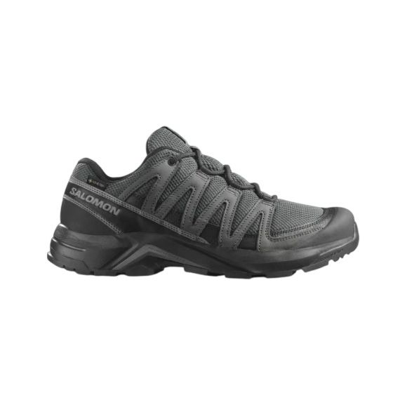 Кроссовки X-Adventure Recon GTX Salomon, цвет Asphalt/Castlerock