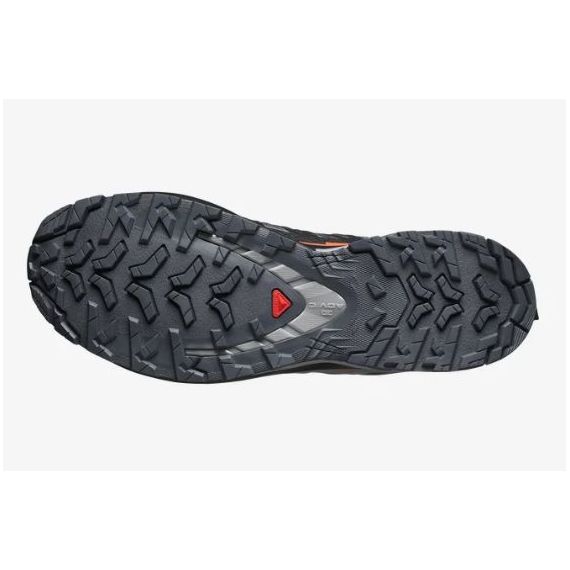 Кроссовки XA PRO 3D V9 GTX Salomon, цвет Turbulence/Black