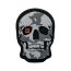 Патч 5.11 PAINTED SKULL
