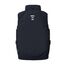 Жилет "Thunderbird" Blue label EmersonGear, цвет Blue