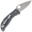 Нож складной SPYDERCO Alcyone Grey (C222GPGY)