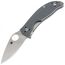 Нож складной SPYDERCO Alcyone Grey (C222GPGY)