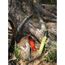 Нож MORAKNIV Companion Dala Red